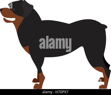 Hunderasse Rottweiler und Tier Haustier Inland, reinrassige süße Hound, Vektor-illustration Stock Vektor