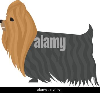 Yorkshire-Terrier Hund und Tier Inland in flachen Stil isoliert auf weißem Hintergrund, Vektor-illustration Stock Vektor