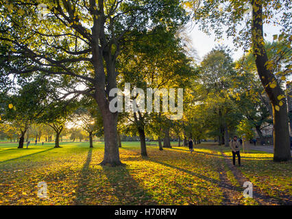 Die Wiesen, Edinburgh, Schottland. Die niedrigen Herbst Sonne wirft lange Schatten, wie es durch die Bäume an einem Novembertag scheint. Stockfoto