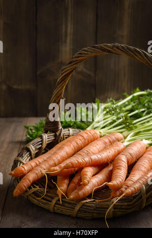 Nahaufnahme der Korb mit frisch gepflückten schmutzigste Karotten Stockfoto