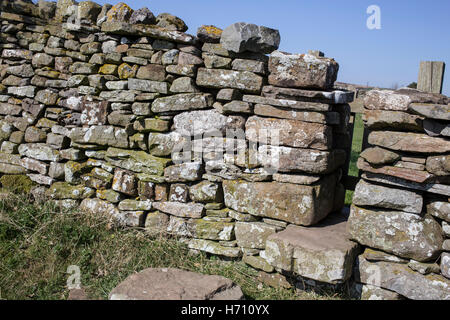 Tore und Wanderwege in Coverdale, Yorkshire Dales Stockfoto