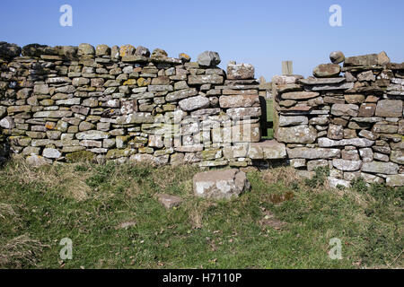 Tore und Wanderwege in Coverdale, Yorkshire Dales Stockfoto