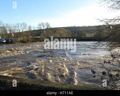 Überschwemmungen an Apperley Brücke, Nr Leeds, West Yorkshire, Großbritannien Stockfoto