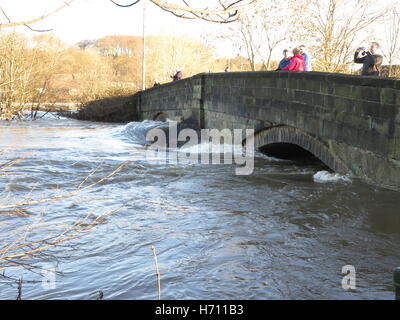 Überschwemmungen an Apperley Brücke, Nr Leeds, West Yorkshire, Großbritannien Stockfoto