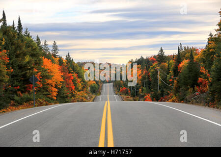 Straße durch Algonquin Provincial Park im Herbst, Ontario, Kanada Stockfoto