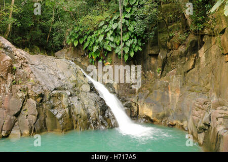 Schöner Wasserfall in einem Regenwald. Saut d'Acomat, Guadeloupe, Karibische Inseln, Frankreich Stockfoto