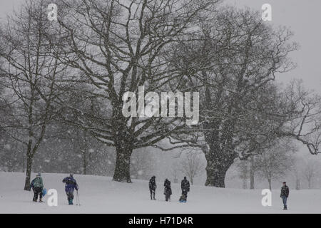 Schnee in Christchurch Park, Ipswich, Suffolk Stockfoto