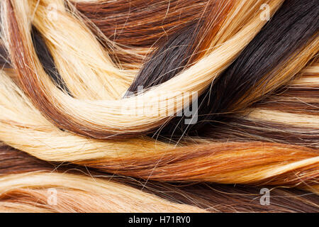 Europäisches Echthaar Verlängerung Schuß. Farbige trocken und seidige Haare braun hell blond rot gemischt Ombre Farben. Lockige gerade Textur Stockfoto