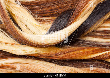 Europäisches Echthaar Verlängerung Schuß. Farbige trocken und seidige Haare braun hell blond rot gemischt Ombre Farben. Lockige gerade Textur Stockfoto