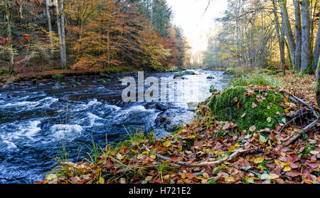 Fluss Ilz Im Bayerischen Wald, Fluss Ilz im Bayerischen Wald Stockfoto