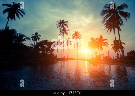 Sonnenuntergang an einem tropischen Strand mit Silhouetten von Palmen. Stockfoto