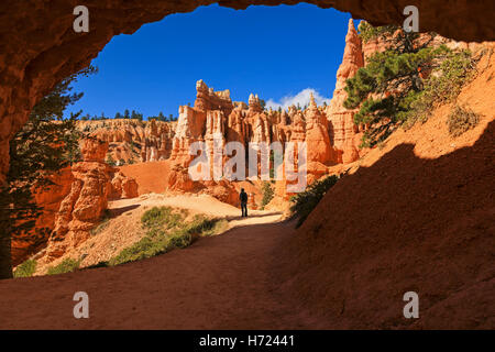 Ein Wanderer wird angehalten, um roten Felsformationen entlang der Queens Garden Trail in Bryce Canyon Nationalpark Utah USA zu bewundern Stockfoto