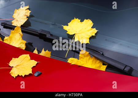 Gefallene Herbstlaub auf Windschutzscheibe Stockfoto