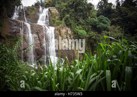 Ramboda Falls, Sri Lanka Stockfoto