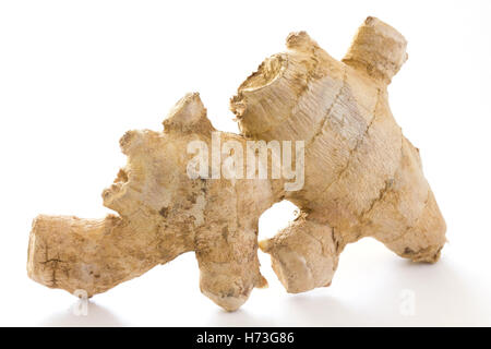 Frische Ingwerwurzel auf weiße Fläche Stockfoto