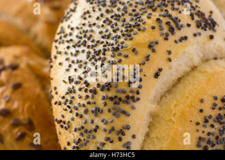 Weißen Mohn Kaiser Brot Rollen auf weiß Stockfoto