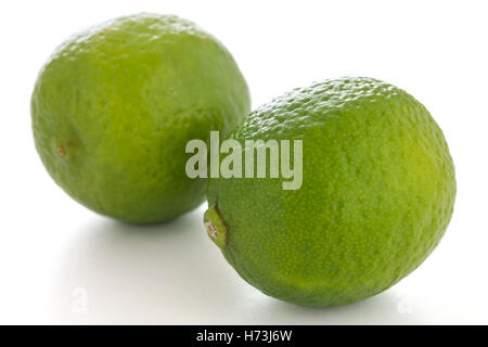 Zwei ganze Limetten auf einer weißen Fläche Stockfoto