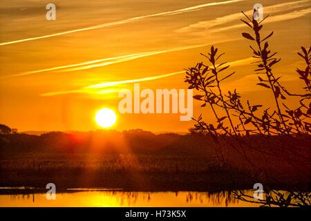 Sonnenaufgang über dem Croston, Lancashire: UK Wetter.  11.01.2016.  Nach einer bitterkalten Nacht mit einem Hauch von Bodenfrost im ländlichen Raum erwärmt ein wunderschönen Sonnenaufgang mit blauem Himmel die Morgenluft.  Temperatur steigt auf Höhen von um 10 º c mit einer anderen kalten Nacht voraus.  Bildnachweis: Cernan Elias/Alamy Live-Nachrichten Stockfoto