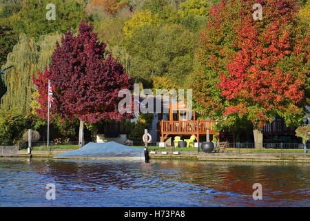 Henley, UK. 2. November 2016. Henley einheimische und Besucher genossen einen schönen Herbstnachmittag an der Themse. Bildnachweis: Uwe Deffner/Alamy Live-Nachrichten Stockfoto