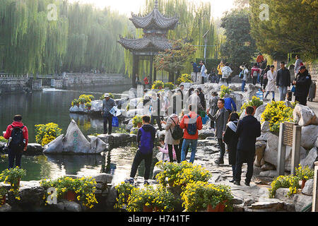 Jinan, China Shandong Provinz. 2. November 2016. Menschen besuchen eine Chrysantheme Blume Show in Jinan, der Hauptstadt der ostchinesischen Provinz Shandong, 2. November 2016. © Feng Jie/Xinhua/Alamy Live-Nachrichten Stockfoto