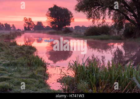 Willingham, Cambridgeshire UK, 3. November 2016. Old West River wird kurz vor der Morgendämmerung an einem stillen, frostigen Herbstmorgen im Venn Pink und lila.  Trauerweiden spiegeln sich in den langsamen bewegten Gewässern. Das kältere Wetter dürfte weiterhin ins Wochenende. Bildnachweis: Julian Eales/Alamy Live-Nachrichten Stockfoto