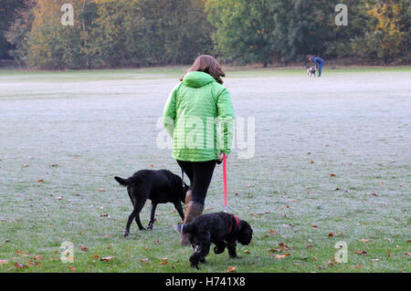 London, UK. 3. November 2016. UK-Wetter. Am frühen Morgen Frost auf Wandsworth Common, Battersea Kältewelle nähert. Bildnachweis: JOHNNY ARMSTEAD/Alamy Live-Nachrichten Stockfoto