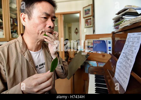 (161103)--FUZHOU, 3. November 2016 (Xinhua)--Qiu Shaochun Blatt weht praktiziert zu Hause in Fuzhou, Hauptstadt der Südosten Chinas Provinz Fujian, 2. November 2016.  Setzen ein frisches Blatt auf den Lippen, bläst Qiu Shaochun eine Melodie nach der anderen, verzaubert das Publikum mit rhythmischen Vitalität und zarten Ausdruck. "Blätter der älteste, einfachste und bequemste Musikinstrument können" sagte Qiu, 51, der bekannteste Blatt weht Musiker in China. "Ich habe bisher in mehr als 30 Ländern durchgeführt." Qiu als Kind früher gerne hören blinde Fischer das Blatt Schlag, und er lernte die techn Stockfoto