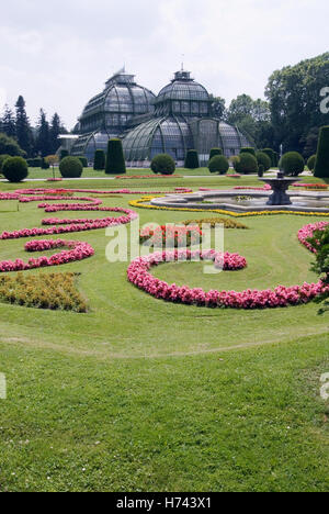 Palmenhaus im Schlosspark Schönbrunn in Wien, Österreich, Europa Stockfoto