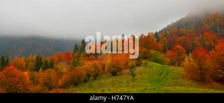 Herbstliche Landschaft mit malerischen bunten Blick auf Wiesen und Wald Stockfoto