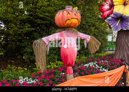 Stroh Vogelscheuche mit Kürbiskopf an Halloween ist in rote Blumen auf einem Hintergrund Spielzeug Baum und grünen Rasen. Stockfoto