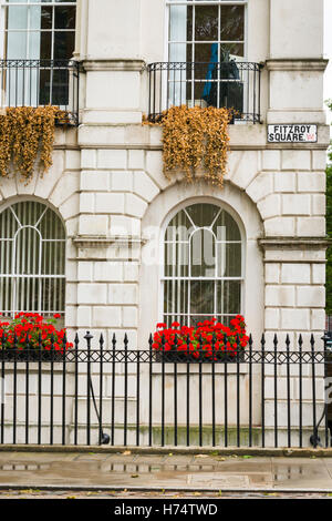 London West End SE Ecke Fitzroy Square Büros Blume Fenster-Box Boxen Schwarz Metall Geländer Geländer Stockfoto