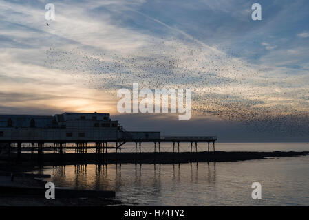 Ein Murmuration der Stare strömen über Aberystwyths viktorianischen Pier stammt aus dem Jahr 1865. Stockfoto