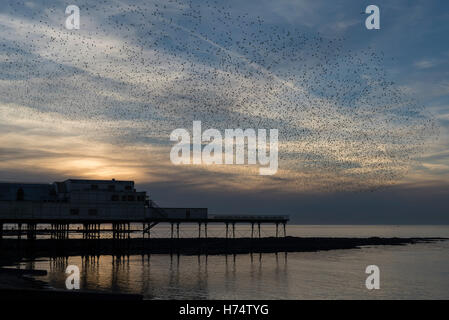 Ein Murmuration der Stare strömen über Aberystwyths viktorianischen Pier stammt aus dem Jahr 1865. Stockfoto