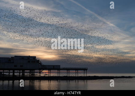 Ein Murmuration der Stare strömen über Aberystwyths viktorianischen Pier stammt aus dem Jahr 1865. Stockfoto