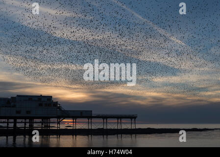 Ein Murmuration der Stare strömen über Aberystwyths viktorianischen Pier stammt aus dem Jahr 1865. Stockfoto