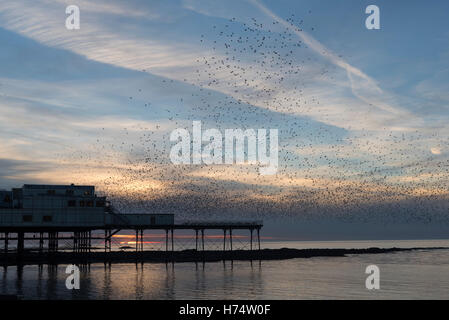 Ein Murmuration der Stare strömen über Aberystwyths viktorianischen Pier stammt aus dem Jahr 1865. Stockfoto