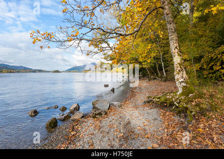 Herbstliche Bäume am Ufer des Derwent Water, ein beliebtes Touristenziel im englischen Lake District. Stockfoto