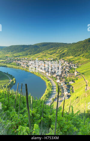 Blick auf Fluss Mosel, Bremm, Rheinland-Pfalz, Deutschland Stockfoto