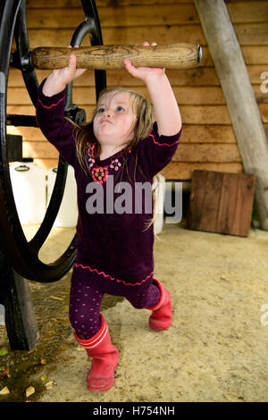 Drei Jahre altes Mädchen fahren die "Apple Scratter" die Äpfel vor dem Drücken sie auf einem Bauernhof Apple drücken Tag Zellstoffe... Stockfoto