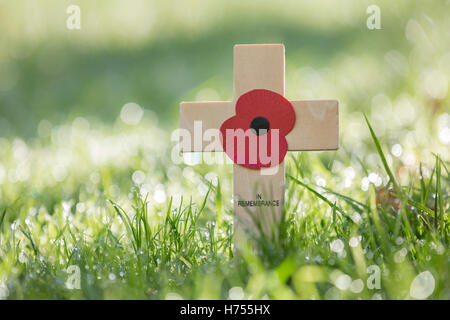 Kleines Holzkreuz zur Erinnerung auf einer Wiese. Stockfoto