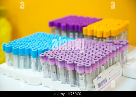 Leere Blut Prüfung medizinische Schläuche. Rack mit Reagenzgläsern Wissenschaftler und im chemischen Labor technische Ausrüstung. Rohre für Centr vorbereitet Stockfoto