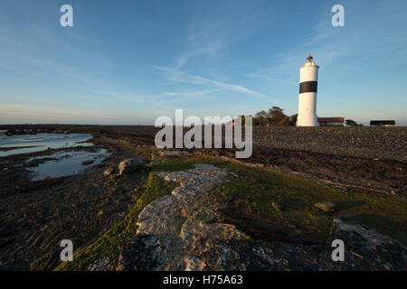 Leuchtturm Leuchtturmmuseum Jan / groß John / Langer Jan an der südlichen Kap Öland in der Ostsee, Schweden Stockfoto