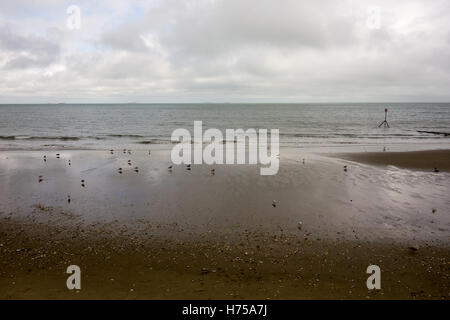 SHANKLIN, VEREINIGTES KÖNIGREICH - 28. AUGUST 2016: Shanklin Strand der Insel Wight an einem bewölkten Sommertag. Stockfoto