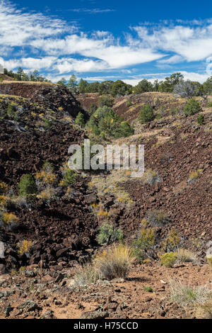 Zuschüsse, New-Mexico - Lava Graben im Bereich El Calderon von El Malpais National Monument. Stockfoto