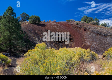 Zuschüsse, New-Mexico - The El Calderon Schlackenkegel im El Malpais National Monument. Stockfoto