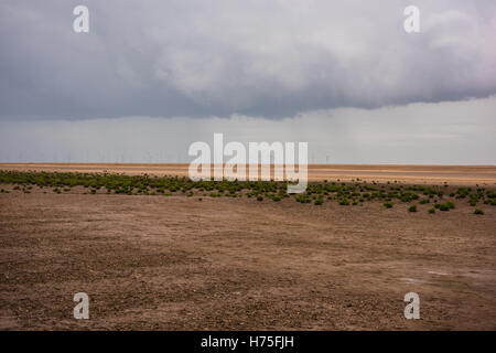 Stürmisches Wetter in der Nähe von Gibraltar Point Nature Reserve, Lincolnshire, UK Stockfoto