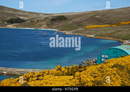 West Point Siedlung auf West Point Insel auf den Falklandinseln. Stockfoto