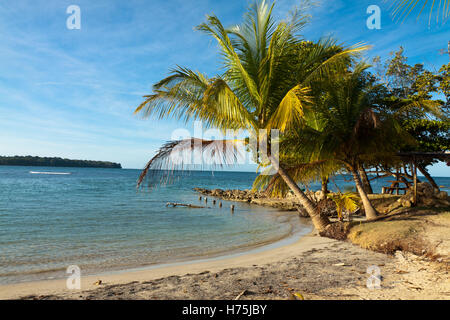 Panoramablick über den Strand von Boca del toro Stockfoto