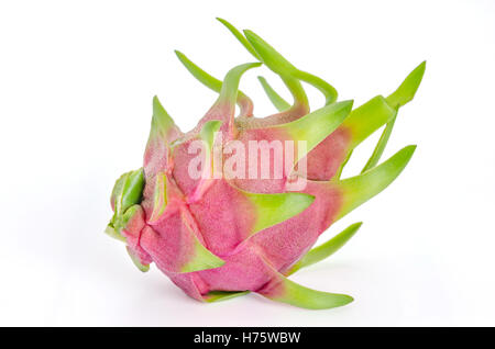 Rosa Pitaya oder Dragon Obst auf weißem Hintergrund Stockfoto