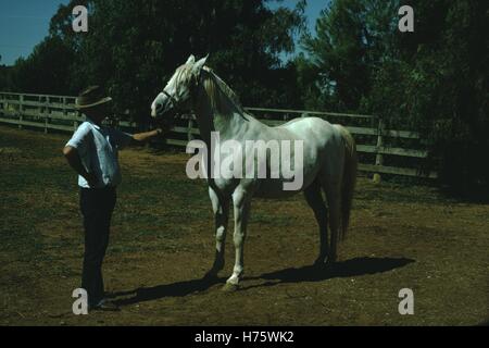Vintage archival Foto aufgenommen im Jahr 1969 Stockfoto